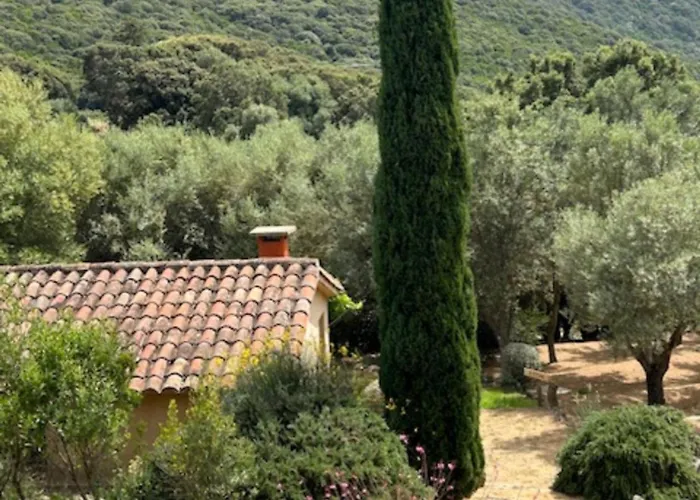 U Sirenu イン サルテーヌ