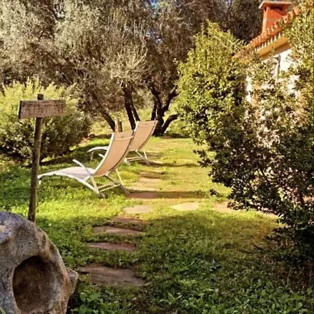 Mini-hôtel U Sirenu